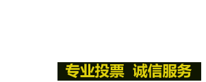 沃丰微信在线投票服务